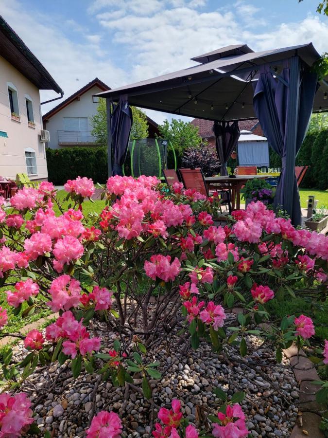 Studio Apartma Zirovnik Cerklje na Gorenjskem Buitenkant foto