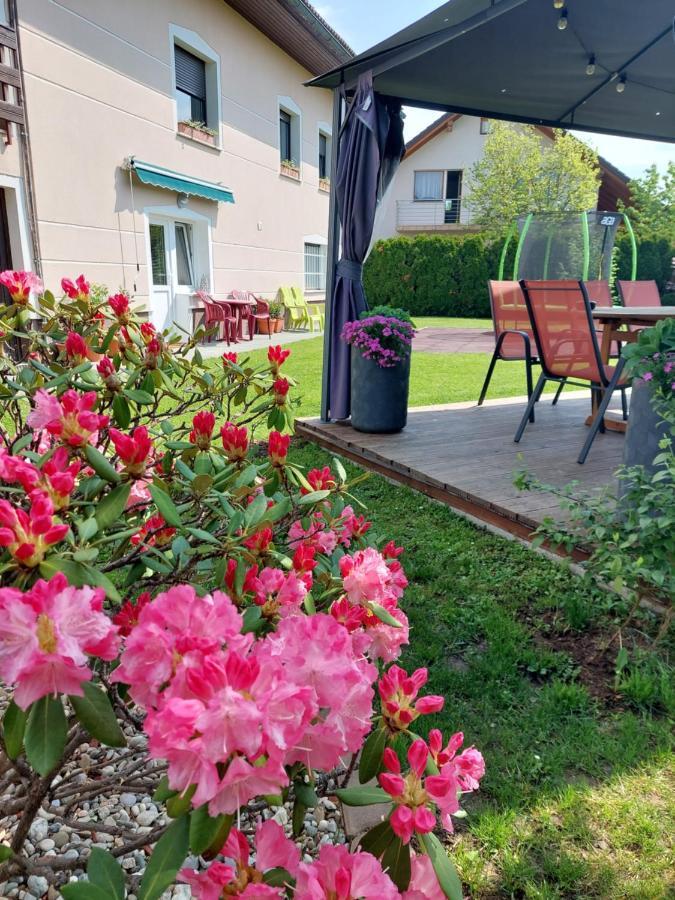 Studio Apartma Zirovnik Cerklje na Gorenjskem Buitenkant foto