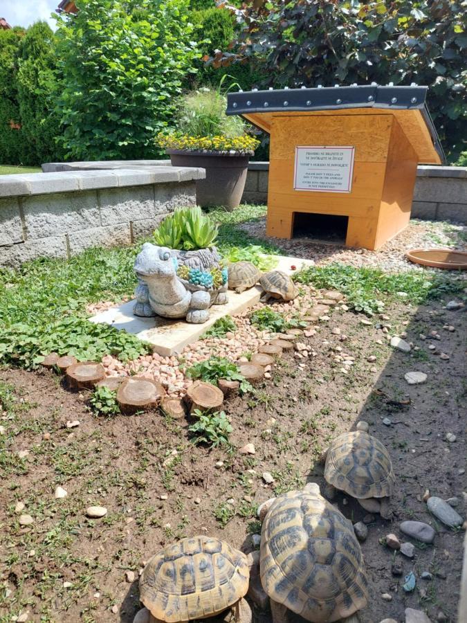 Studio Apartma Zirovnik Cerklje na Gorenjskem Buitenkant foto
